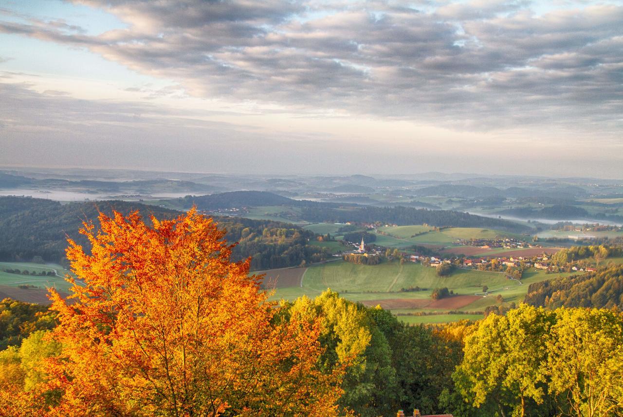 Ferienwohnungen-Bendler Freyung Exterior foto